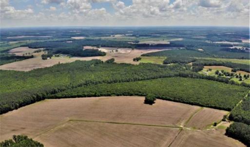 Photo of SOLD!!  245 Acres of Hunting Land with Cabin for Sale in Gates County NC!