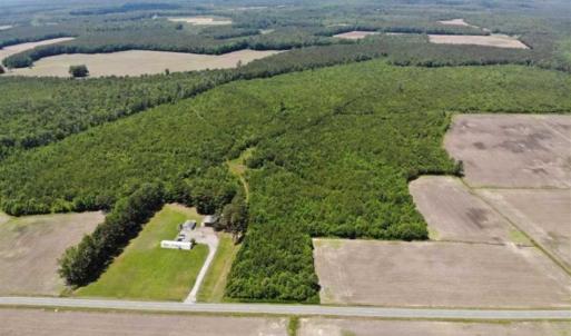 Photo of SOLD!!  245 Acres of Hunting Land with Cabin for Sale in Gates County NC!