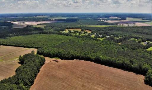 Photo of SOLD!!  245 Acres of Hunting Land with Cabin for Sale in Gates County NC!