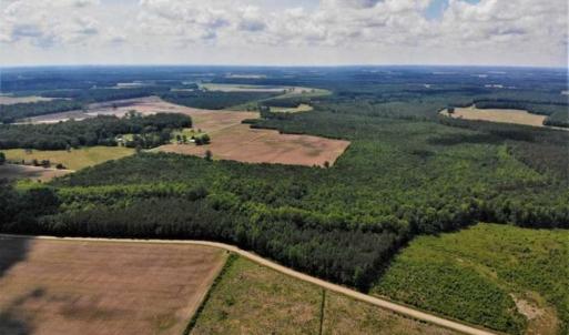 Photo of SOLD!!  245 Acres of Hunting Land with Cabin for Sale in Gates County NC!