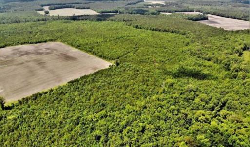 Photo of SOLD!!  245 Acres of Hunting Land with Cabin for Sale in Gates County NC!