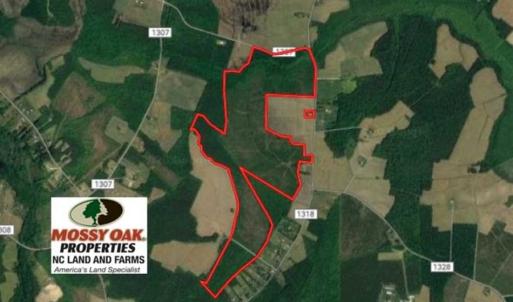 Photo of SOLD!!  245 Acres of Hunting Land with Cabin for Sale in Gates County NC!