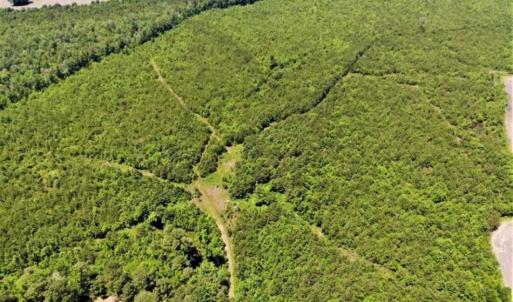 Photo of SOLD!!  245 Acres of Hunting Land with Cabin for Sale in Gates County NC!