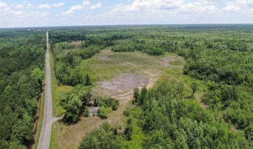 Photo of SOLD!!  283 Acres of Timber and Hunting Land in Marion/Dillon Counties SC!