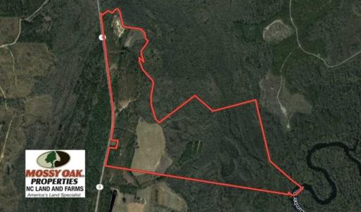 Photo of SOLD!!  283 Acres of Timber and Hunting Land in Marion/Dillon Counties SC!