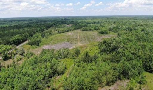 Photo of SOLD!!  283 Acres of Timber and Hunting Land in Marion/Dillon Counties SC!