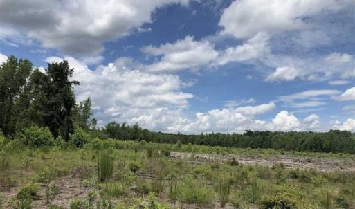 Photo of SOLD!!  283 Acres of Timber and Hunting Land in Marion/Dillon Counties SC!