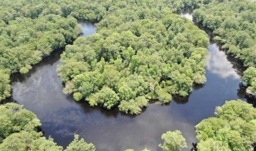 Photo of SOLD!!  283 Acres of Timber and Hunting Land in Marion/Dillon Counties SC!