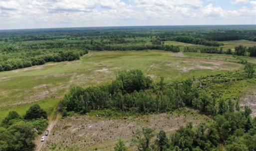 Photo of SOLD!!  283 Acres of Timber and Hunting Land in Marion/Dillon Counties SC!