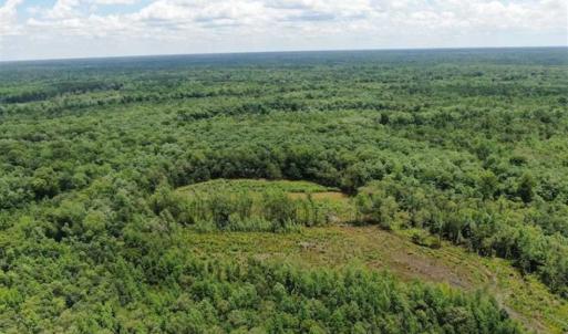Photo of SOLD!!  283 Acres of Timber and Hunting Land in Marion/Dillon Counties SC!