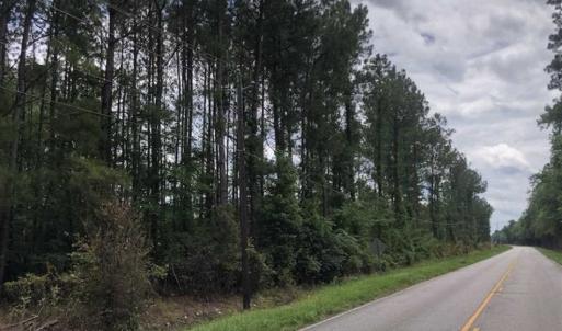 Photo of SOLD!!  283 Acres of Timber and Hunting Land in Marion/Dillon Counties SC!
