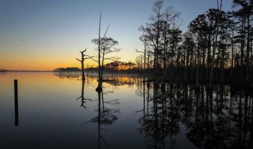 Photo of SOLD!!  14 Acres with Waterfront Home For Sale in Tyrrrell County NC!