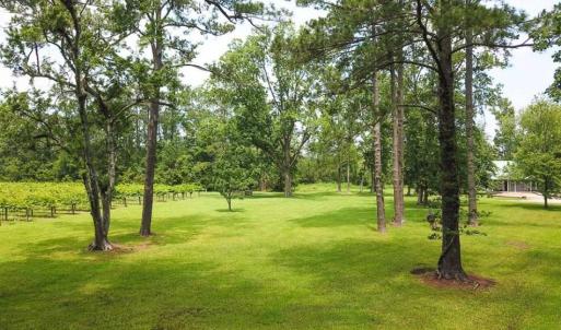 Photo of SOLD!!  14 Acres with Waterfront Home For Sale in Tyrrrell County NC!