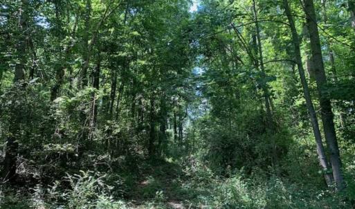 Photo of UNDER CONTRACT!! 1.4 Acres of Residential Land For Sale in Nash County NC!