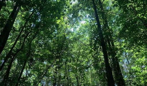 Photo of UNDER CONTRACT!! 1.4 Acres of Residential Land For Sale in Nash County NC!