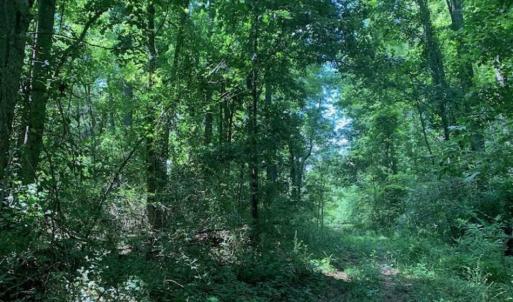 Photo of UNDER CONTRACT!! 1.4 Acres of Residential Land For Sale in Nash County NC!