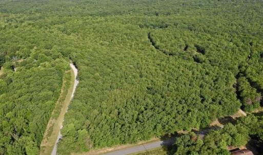 Photo of 24 Acres of Hunting and Recreation Land For Sale in Pittsylvania County VA!