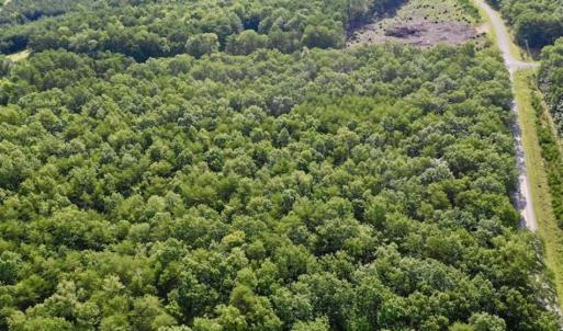 Photo of 24 Acres of Hunting and Recreation Land For Sale in Pittsylvania County VA!