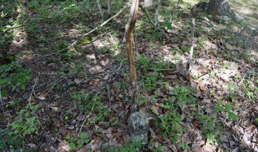 Photo of 24 Acres of Hunting and Recreation Land For Sale in Pittsylvania County VA!