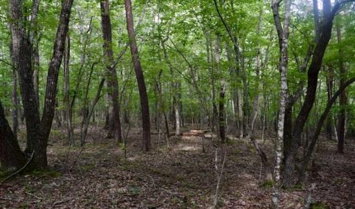 Photo of 24 Acres of Hunting and Recreation Land For Sale in Pittsylvania County VA!