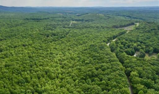 Photo of 24 Acres of Hunting and Recreation Land For Sale in Pittsylvania County VA!