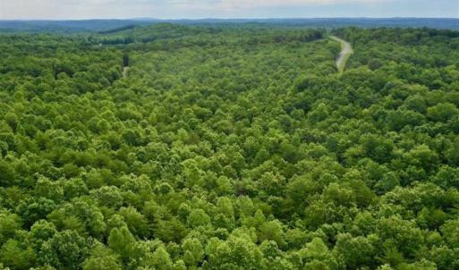 Photo of 24 Acres of Hunting and Recreation Land For Sale in Pittsylvania County VA!