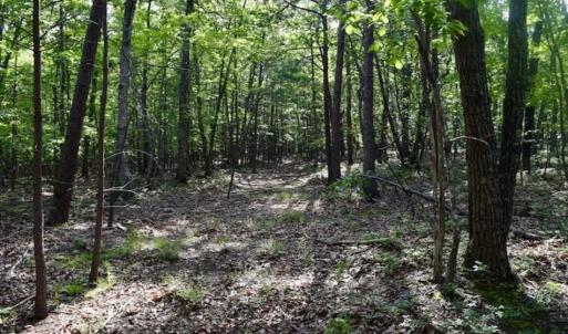 Photo of 24 Acres of Hunting and Recreation Land For Sale in Pittsylvania County VA!
