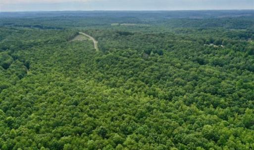 Photo of 24 Acres of Hunting and Recreation Land For Sale in Pittsylvania County VA!