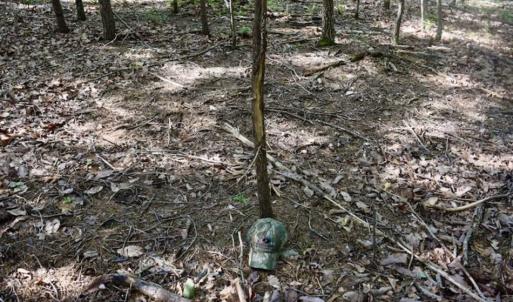 Photo of 24 Acres of Hunting and Recreation Land For Sale in Pittsylvania County VA!