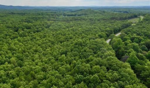 Photo of 24 Acres of Hunting and Recreation Land For Sale in Pittsylvania County VA!