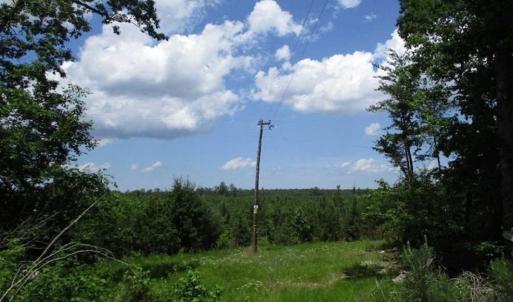 Photo of 187 Acres of Hunting  Residential and Cultivated Land For Sale in King and Queen County VA!