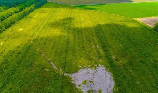 Photo of 53.86 Acres of Timber and Hunting Land in Tyrrell County NC!