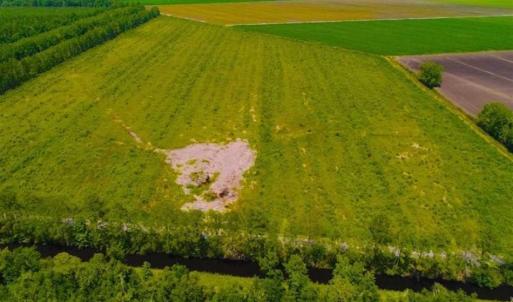 Photo of 53.86 Acres of Timber and Hunting Land in Tyrrell County NC!