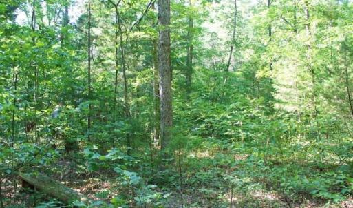 Photo of UNDER CONTRACT!!  43.18 Acres of Residential and Recreational Land in Cumberland County VA!