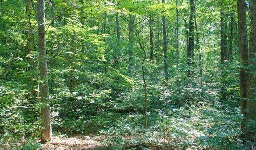 Photo of UNDER CONTRACT!!  43.18 Acres of Residential and Recreational Land in Cumberland County VA!