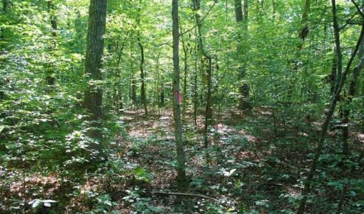 Photo of UNDER CONTRACT!!  43.18 Acres of Residential and Recreational Land in Cumberland County VA!