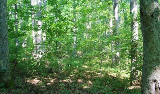 Photo of UNDER CONTRACT!!  43.18 Acres of Residential and Recreational Land in Cumberland County VA!
