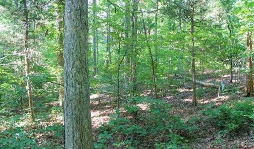 Photo of UNDER CONTRACT!!  43.18 Acres of Residential and Recreational Land in Cumberland County VA!