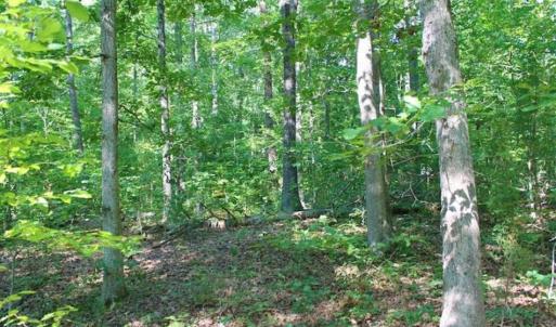 Photo of UNDER CONTRACT!!  43.18 Acres of Residential and Recreational Land in Cumberland County VA!