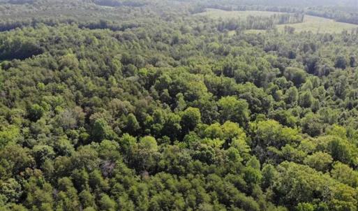 Photo of UNDER CONTRACT!!  43.18 Acres of Residential and Recreational Land in Cumberland County VA!