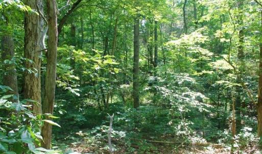 Photo of UNDER CONTRACT!!  43.18 Acres of Residential and Recreational Land in Cumberland County VA!