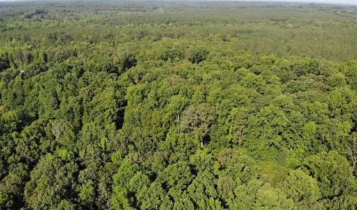 Photo of UNDER CONTRACT!!  43.18 Acres of Residential and Recreational Land in Cumberland County VA!