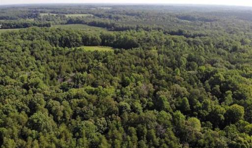 Photo of UNDER CONTRACT!!  43.18 Acres of Residential and Recreational Land in Cumberland County VA!