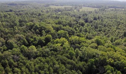 Photo of UNDER CONTRACT!!  43.18 Acres of Residential and Recreational Land in Cumberland County VA!
