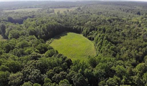 Photo of UNDER CONTRACT!!  43.18 Acres of Residential and Recreational Land in Cumberland County VA!