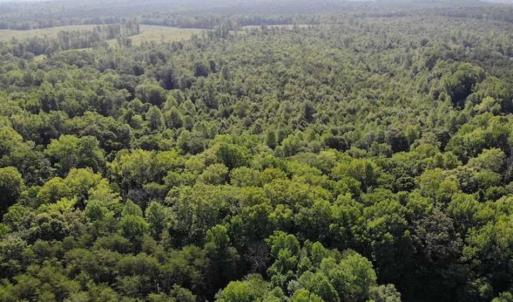 Photo of UNDER CONTRACT!!  43.18 Acres of Residential and Recreational Land in Cumberland County VA!