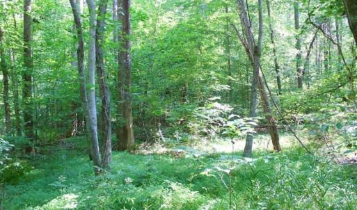 Photo of UNDER CONTRACT!!  43.18 Acres of Residential and Recreational Land in Cumberland County VA!