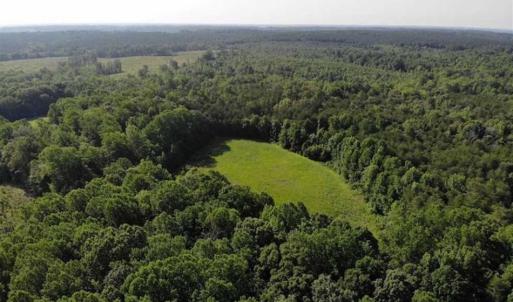 Photo of UNDER CONTRACT!!  43.18 Acres of Residential and Recreational Land in Cumberland County VA!
