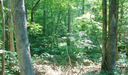 Photo of UNDER CONTRACT!!  43.18 Acres of Residential and Recreational Land in Cumberland County VA!