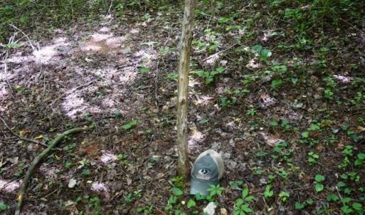 Photo of UNDER CONTRACT!!  156 Acres of Hunting and Recreation Land for Sale in Franklin County VA!